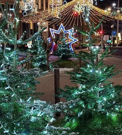 Cerca Del Puerto Deportivo Y De La Playa